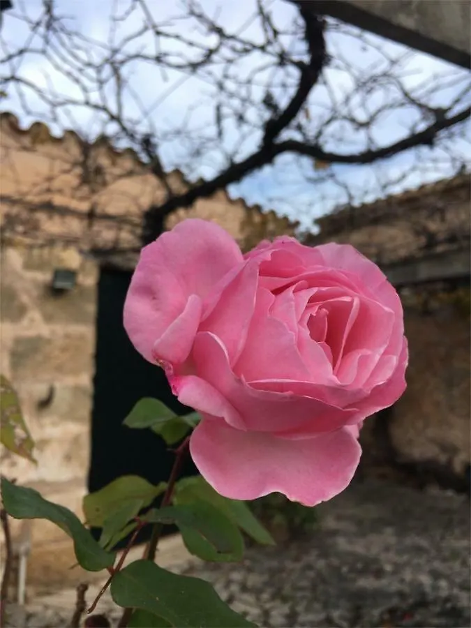 Can Bisbal Finca Am Meer Hotel Pollenca Holiday home